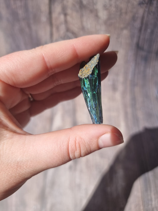 Corpse Crystal (Vivianite) #7