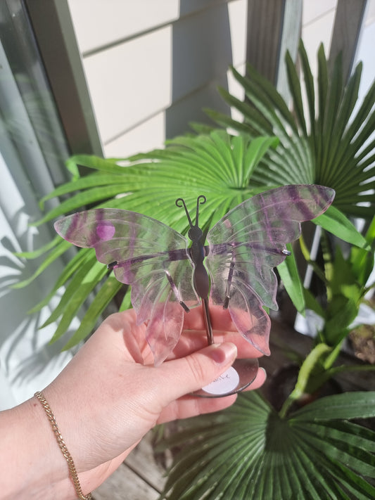 Fluorite Butterfly Wings on Stand