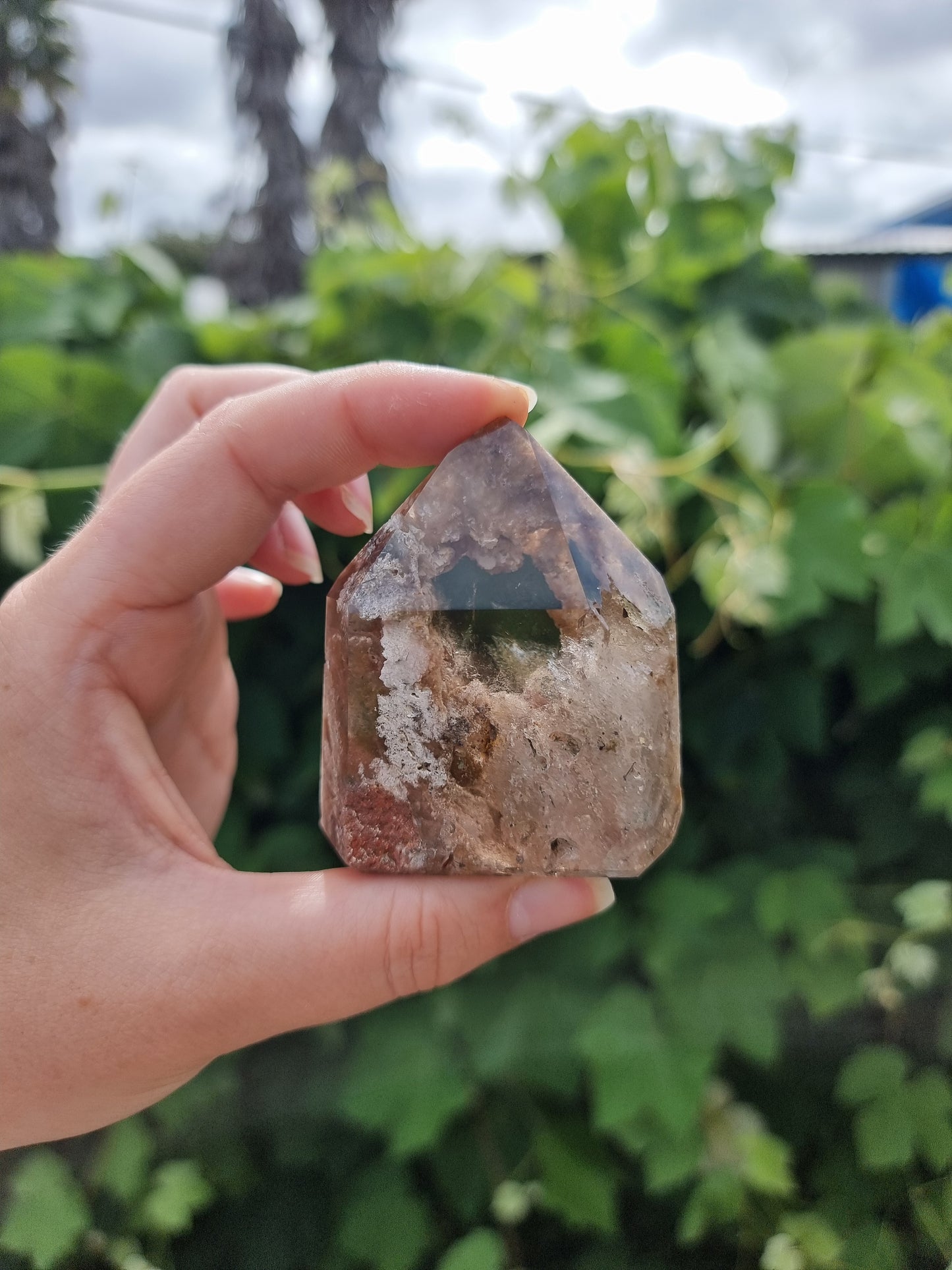 Garden Quartz/Lodolite Point #6