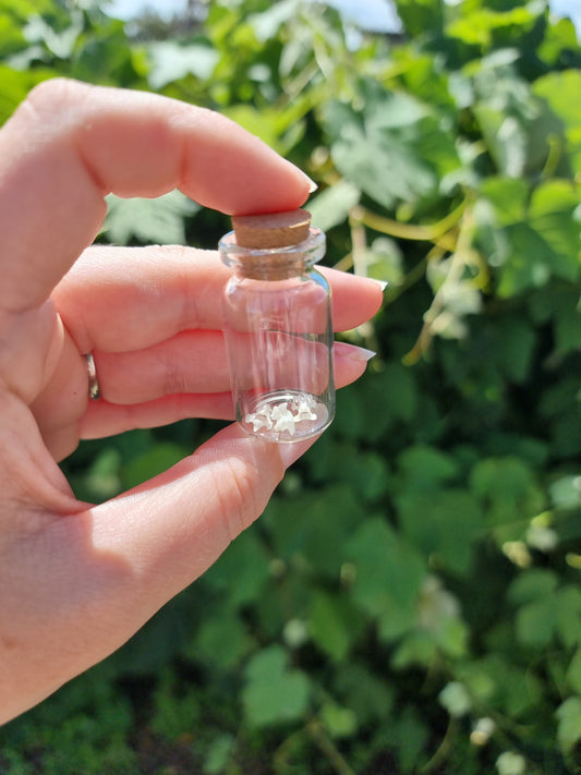 3 mini Vert Bone Jar