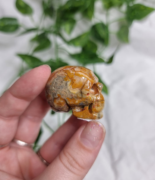 Crazy Lace Agate Small Skull #1