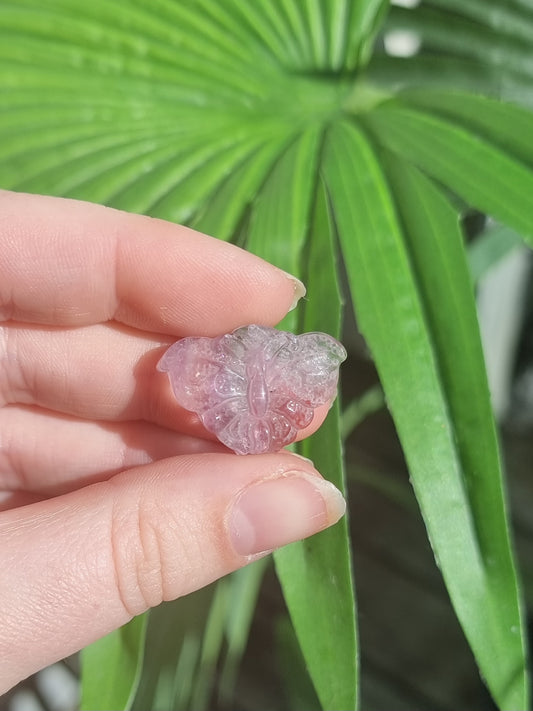 Rainbow Fluorite Butterfly Carving #2