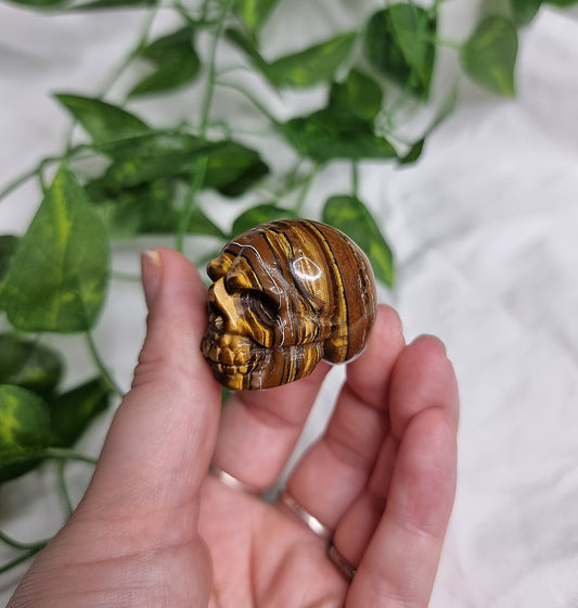 Tiger Eye Small Skull