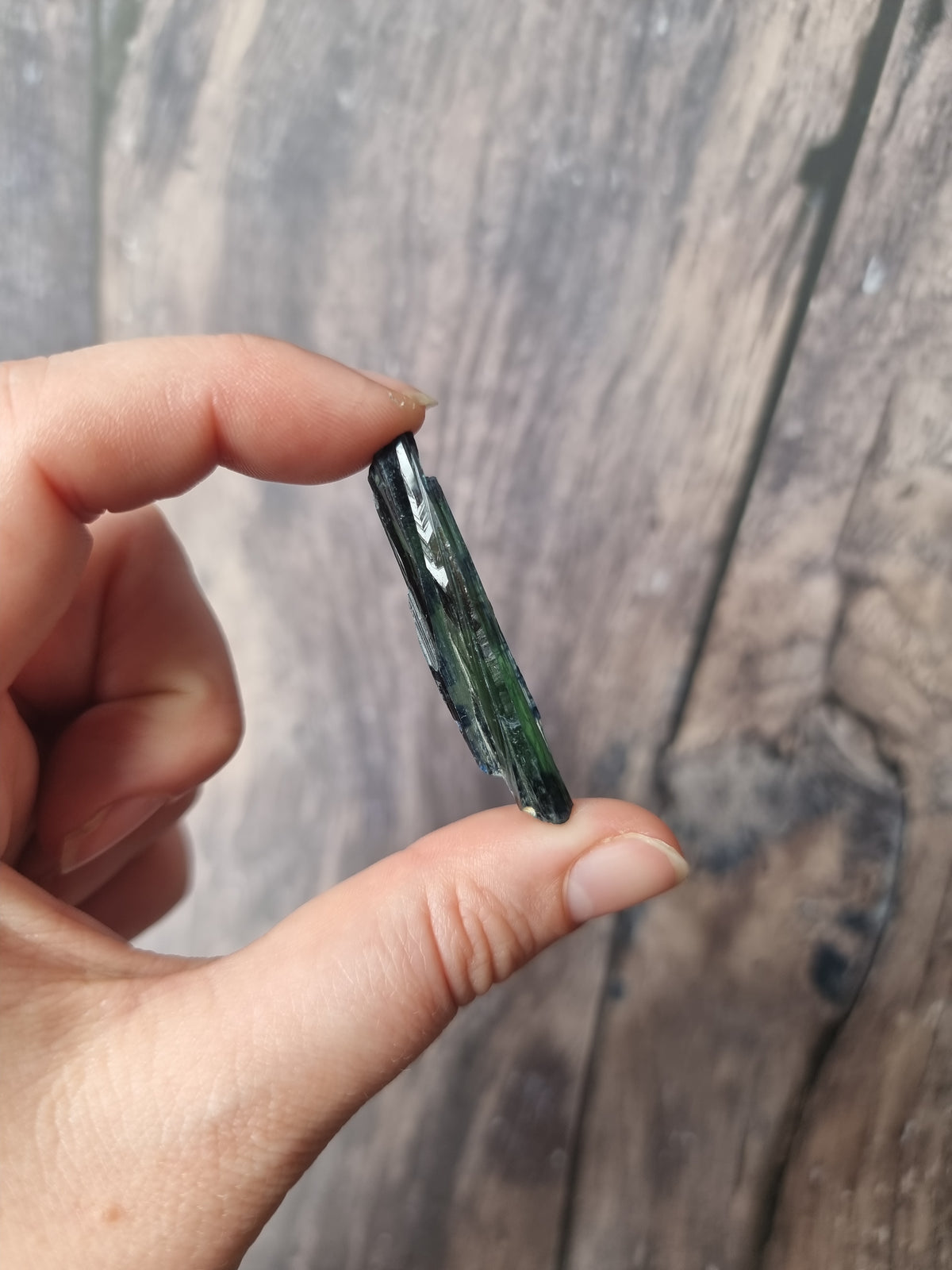 Corpse Crystal (Vivianite) #4