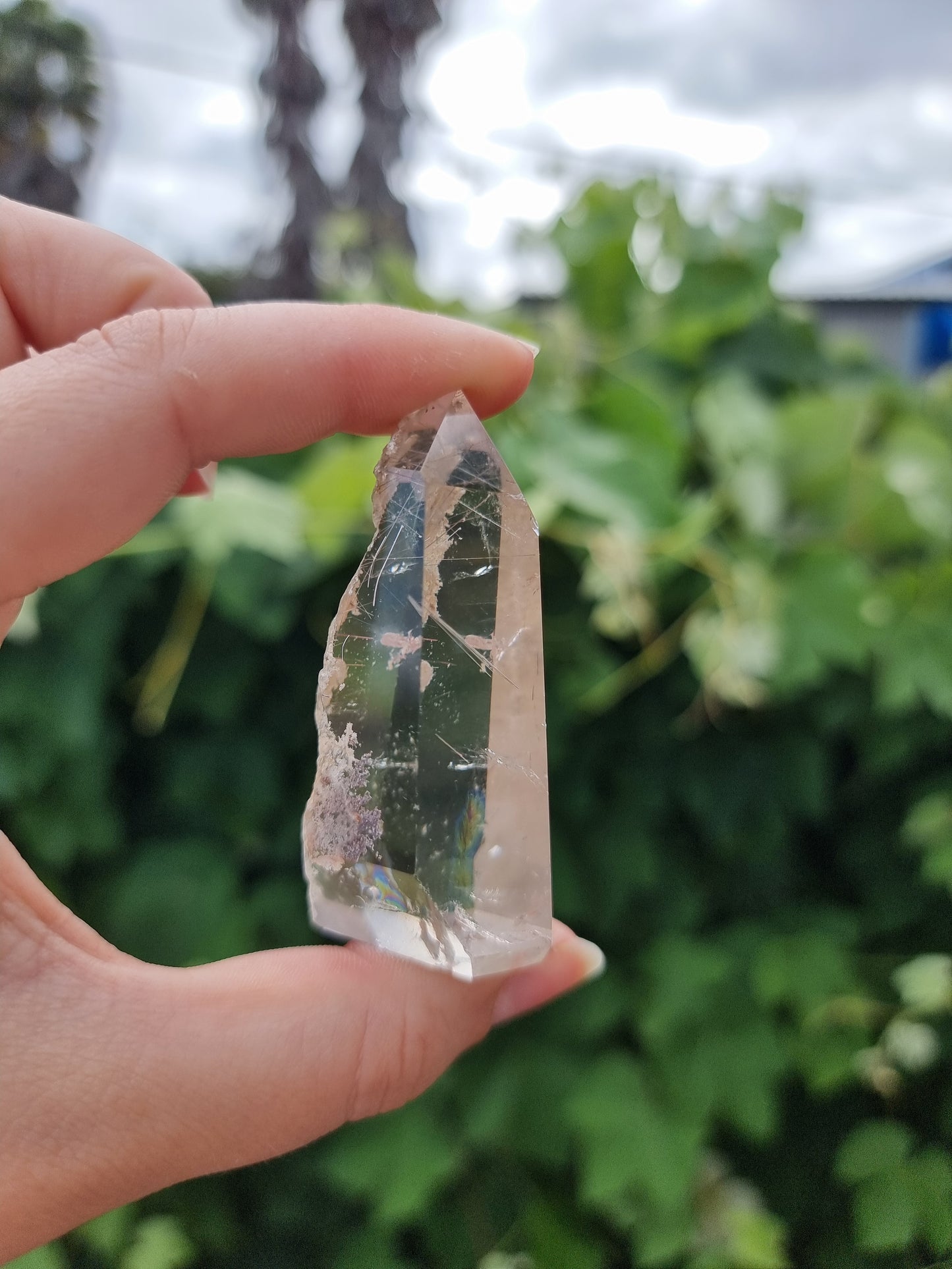 Garden Quartz/Lodolite With Rutiles Point #1