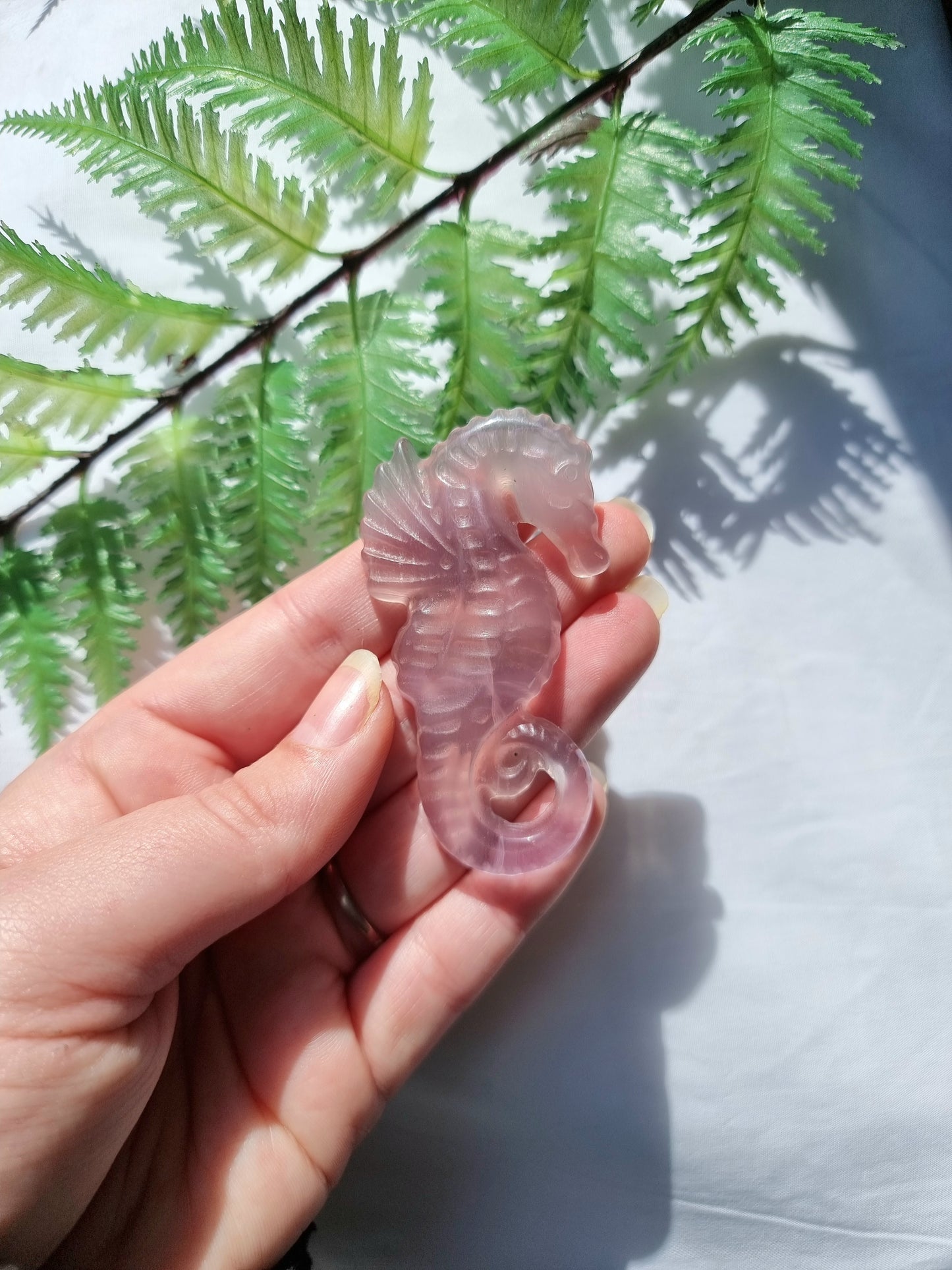 Fluorite Seahorse #2