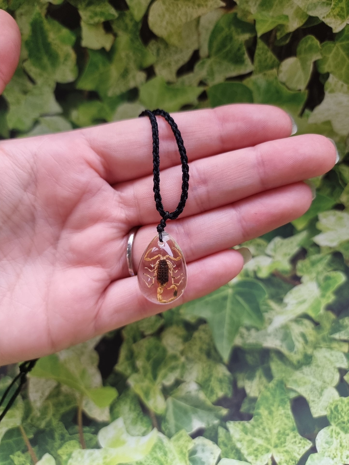 Brown Scorpion  Ajustable Resin Necklace