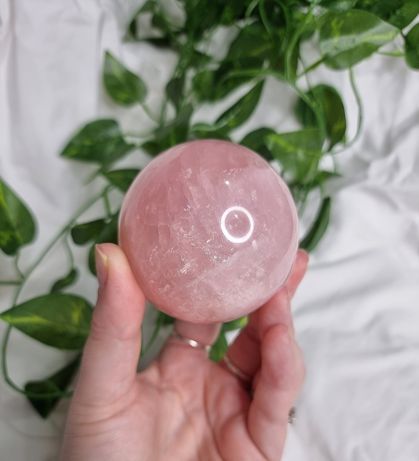 Star Rose Quartz Sphere