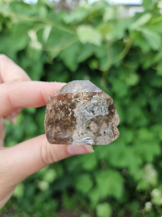 Garden Quartz/ Lodolite free form #2