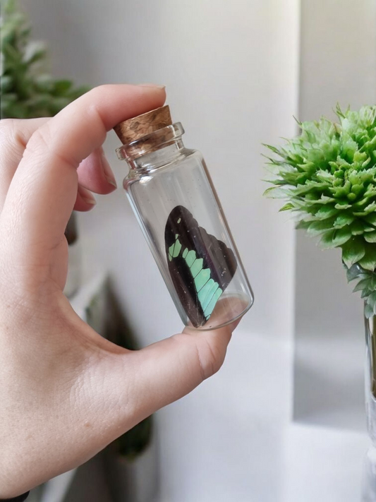 Large Oddity Wing Jar