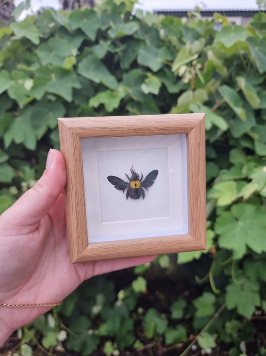 Mini Framed Bee #2