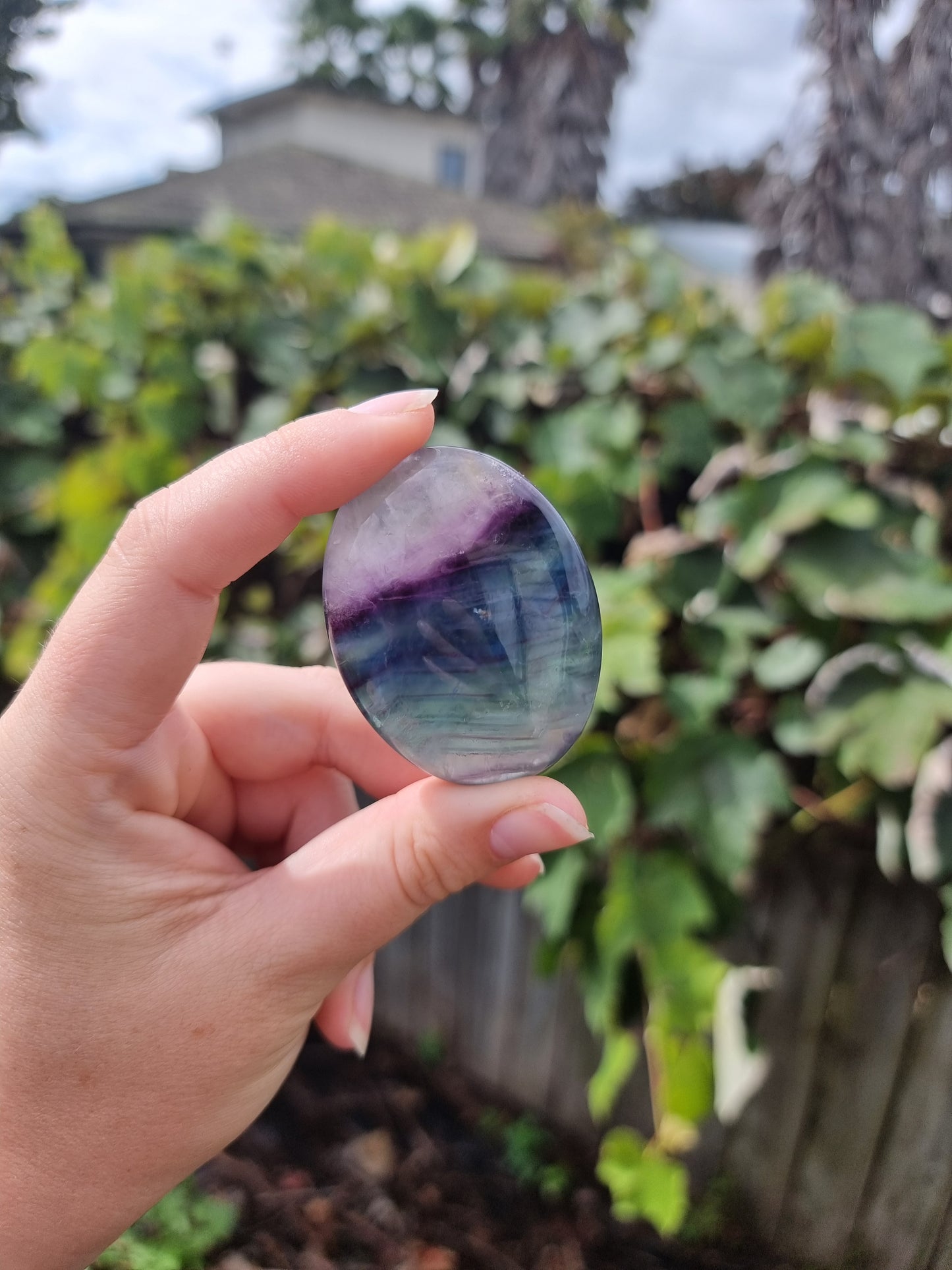 Fluorite Palmstone #6