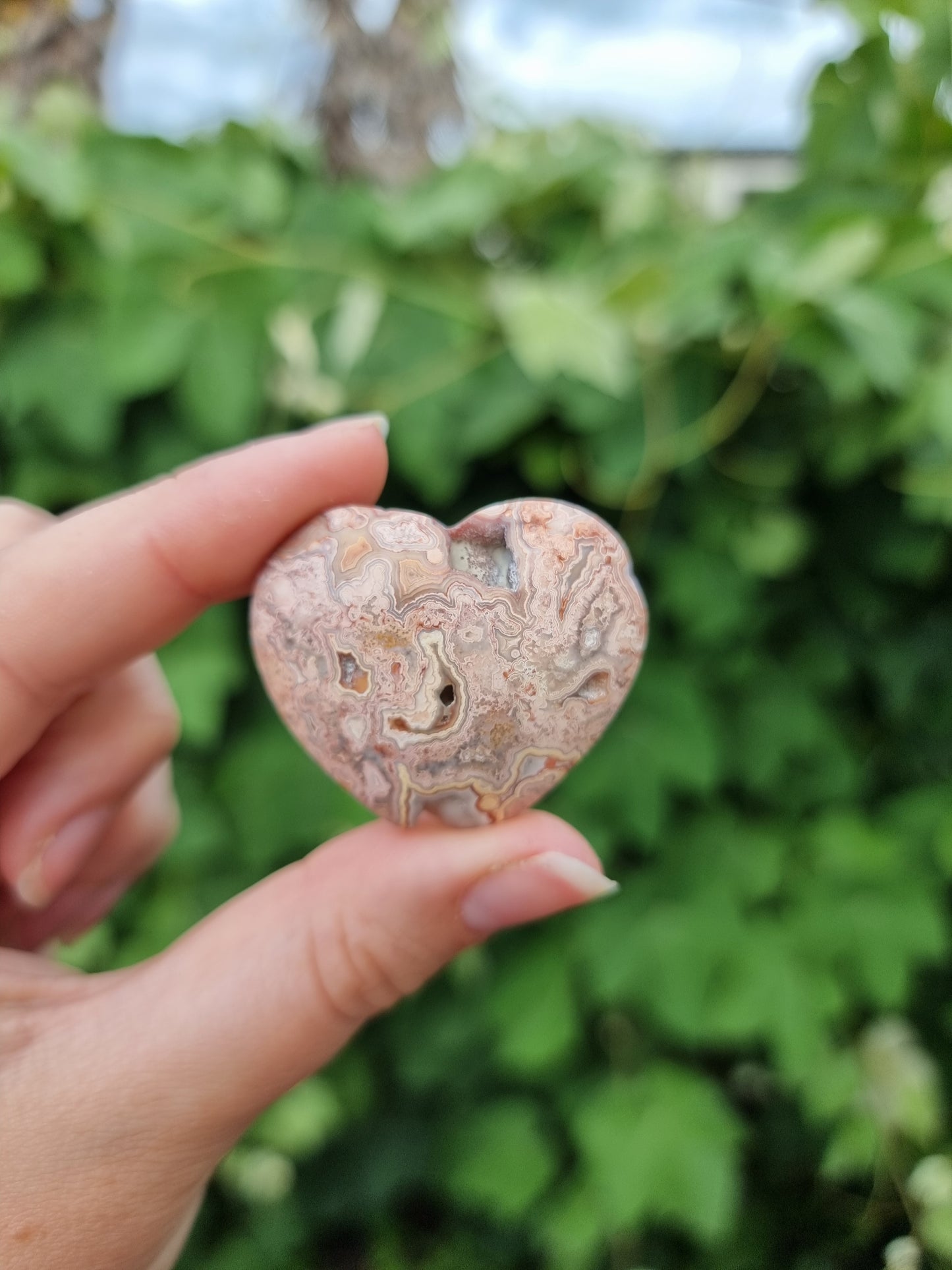 Pink Crazy Lace Heart #6