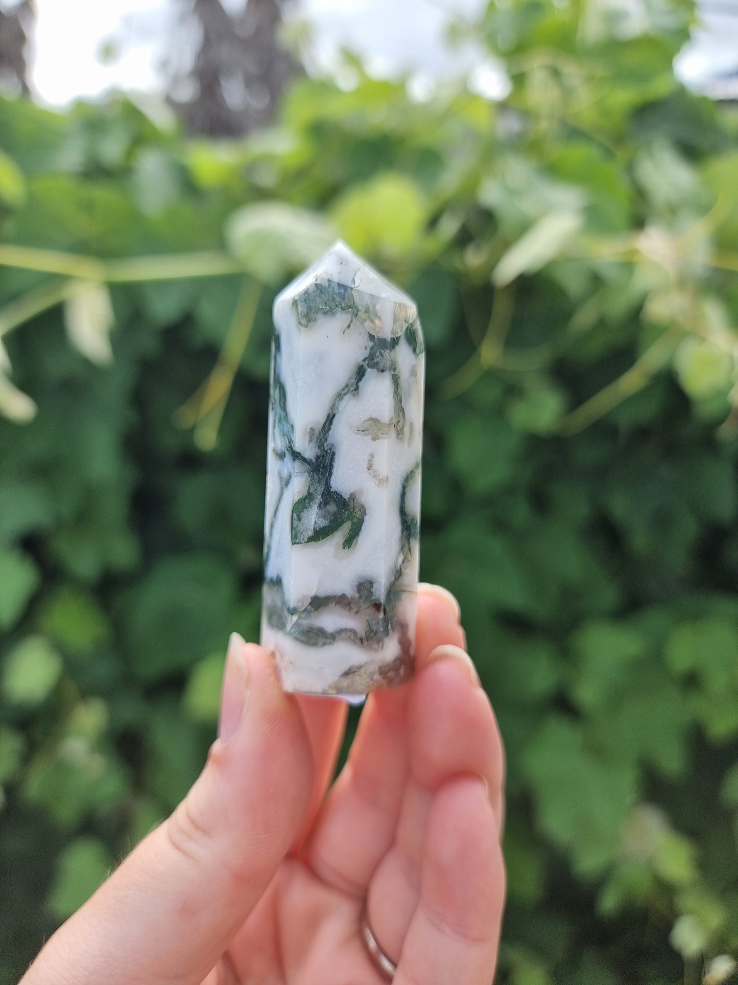 Tree Agate Point #1