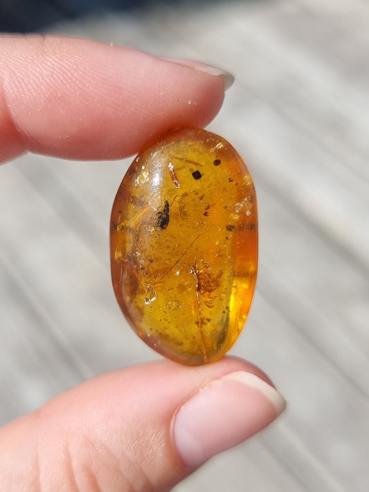 Bug in Amber #7