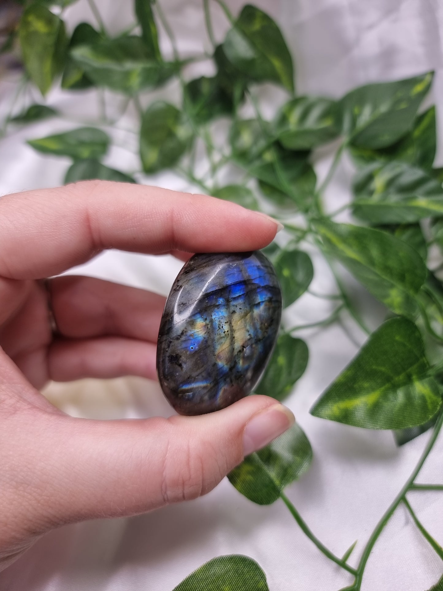 Labradorite palm #1