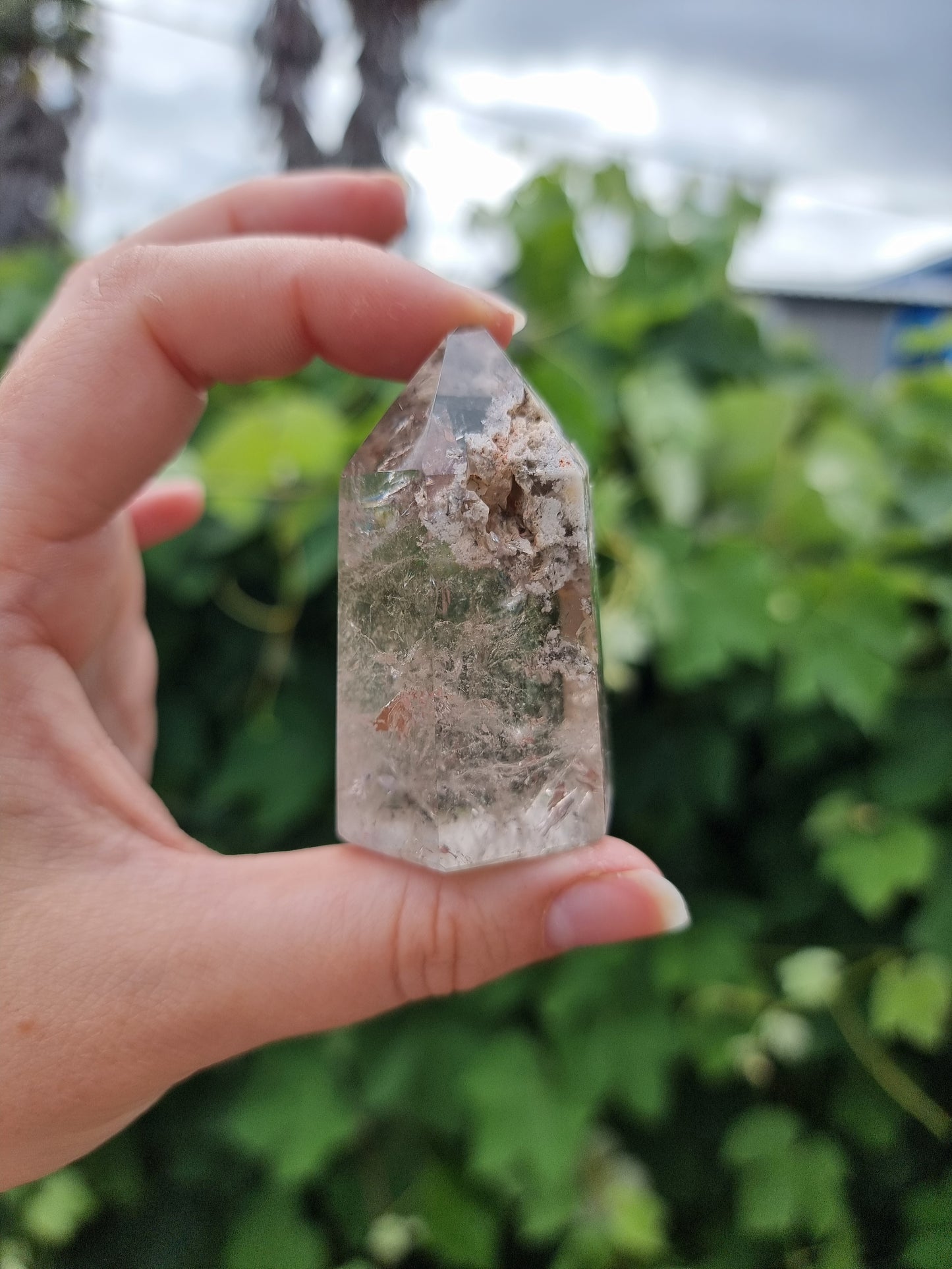 Garden Quartz/Lodolite Point