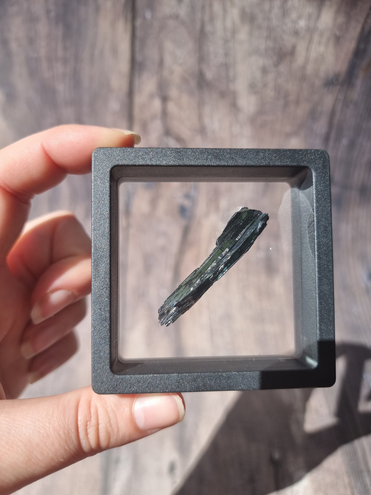 Corpse Crystal (Vivianite) #2