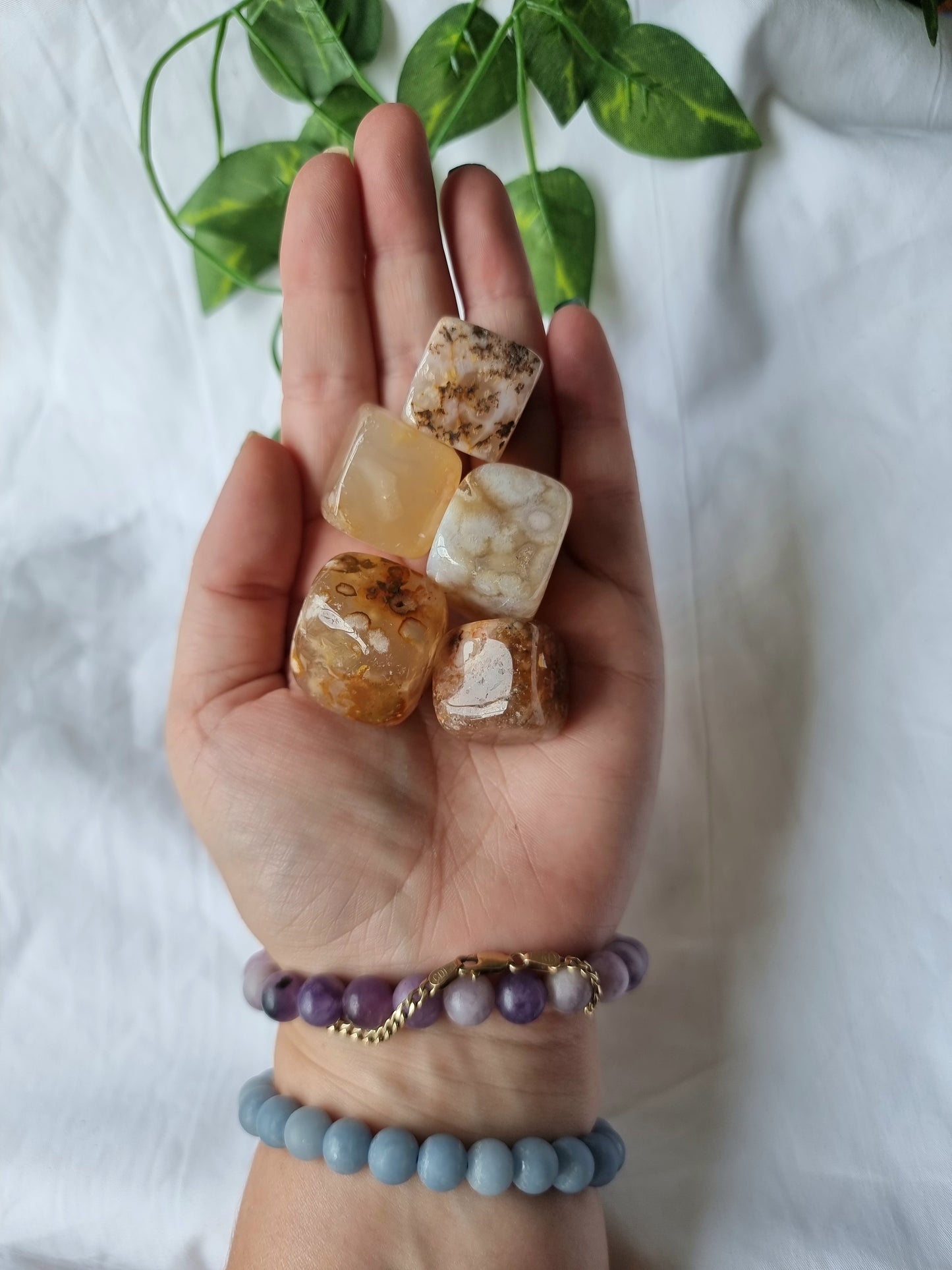 Flower Agate Cubes