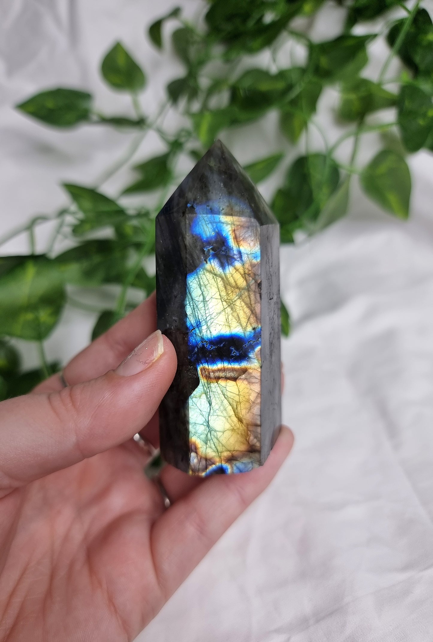 High Quality Labradorite Point #1