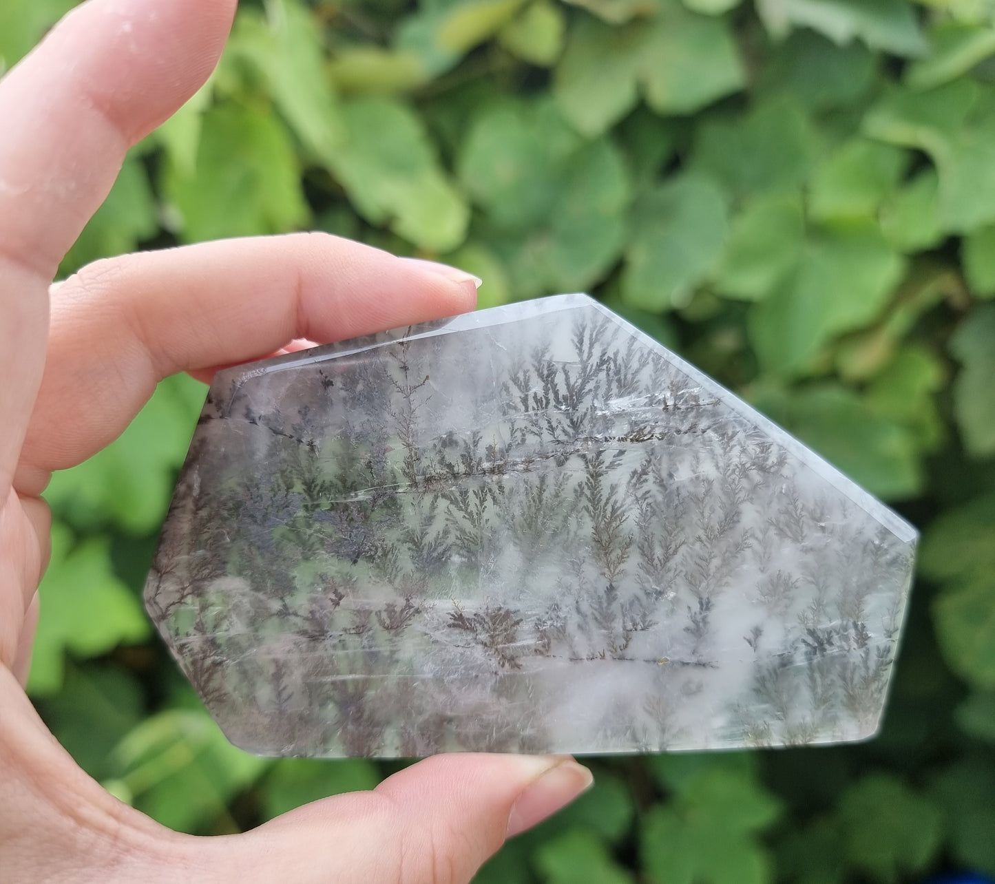 Dendritic Quartz Slab #2