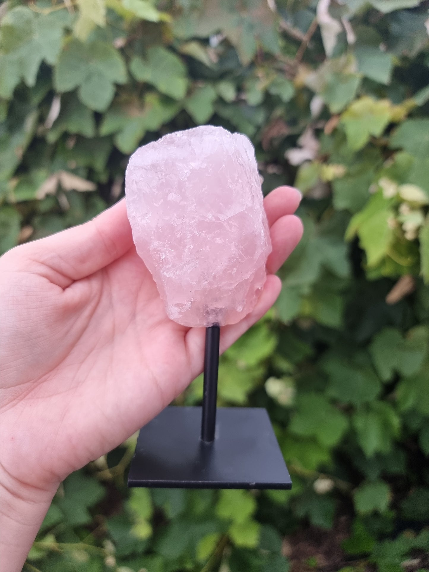 Raw Rose Quartz on Stand #2