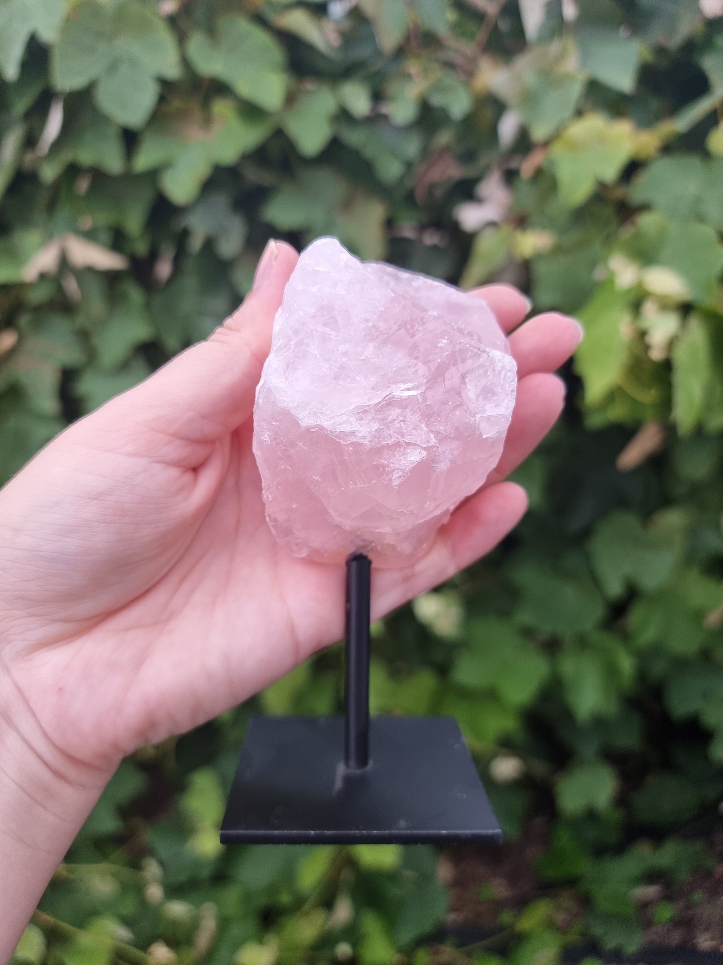 Raw Rose Quartz on Stand #2