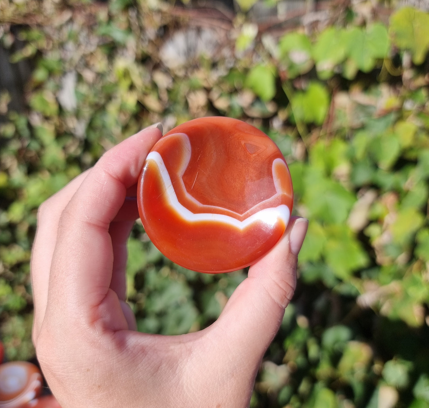 Sardonyx Ring Bowls