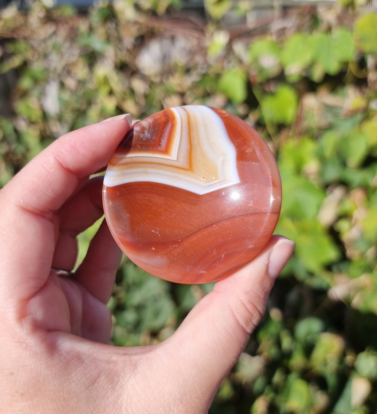 Sardonyx Ring Bowls