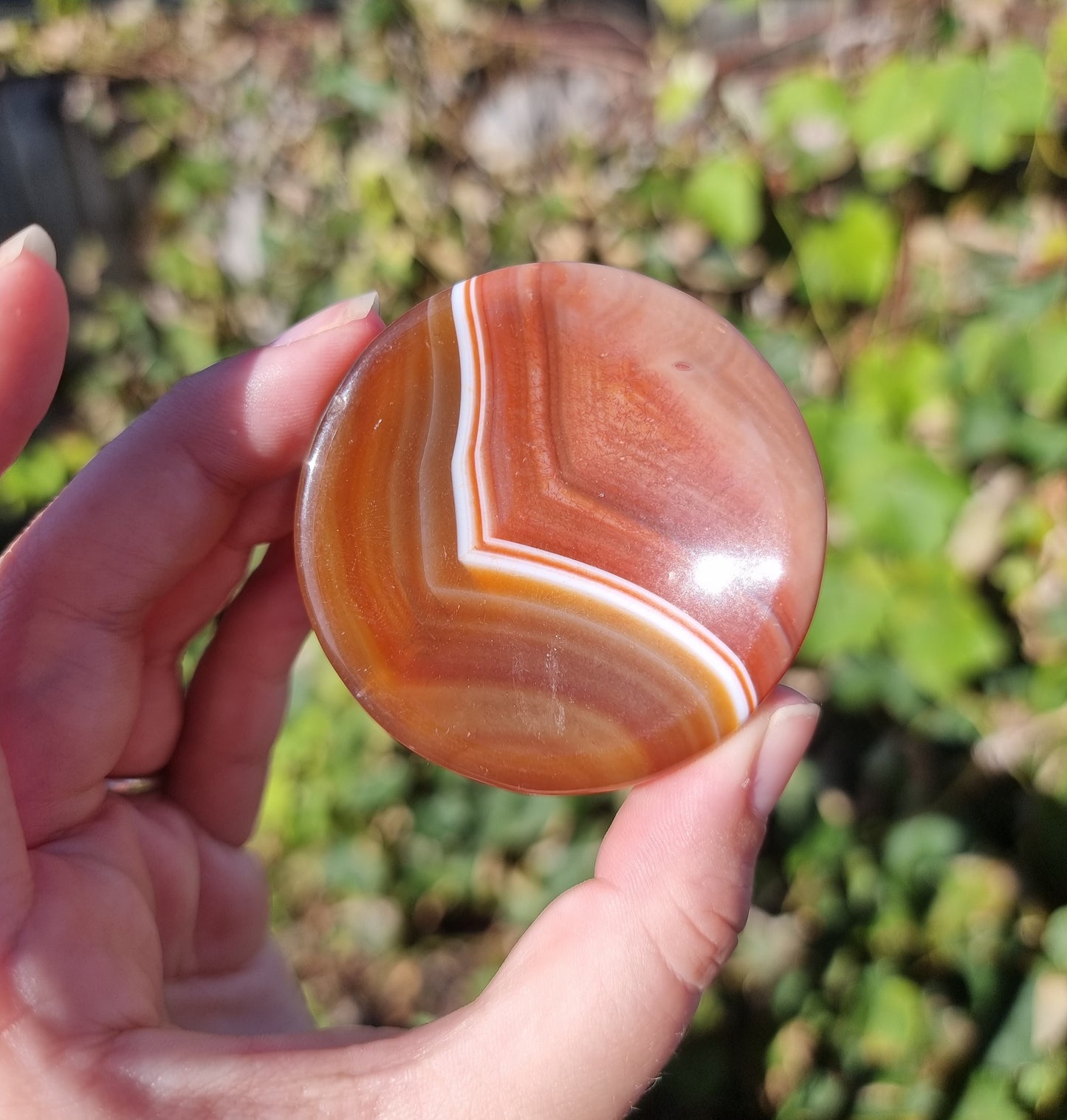 Sardonyx Ring Bowls