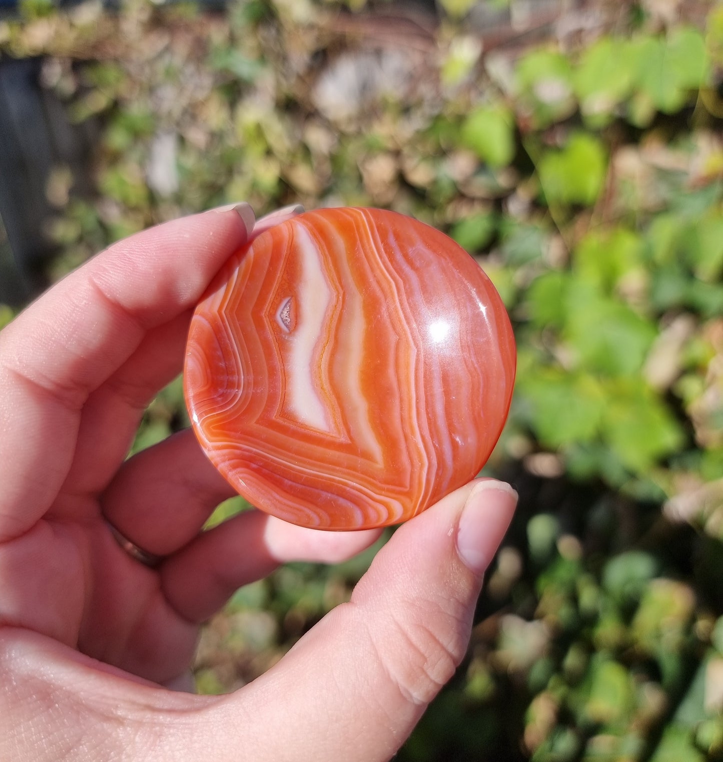 Sardonyx Ring Bowls