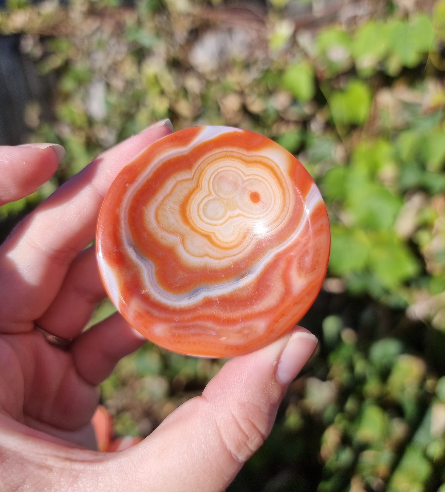 Sardonyx Ring Bowls