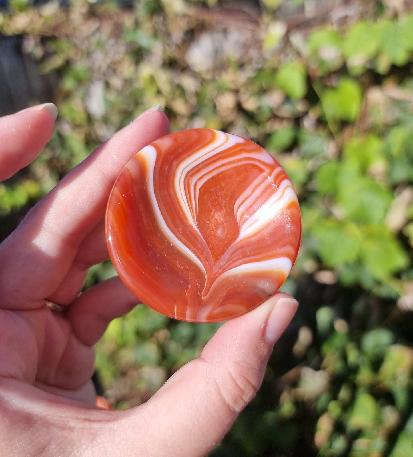 Sardonyx Ring Bowls