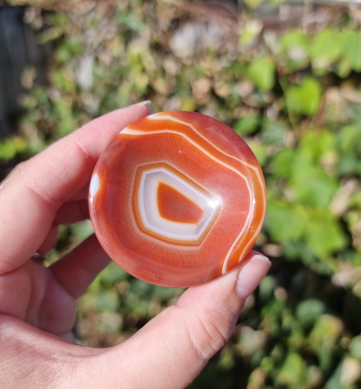 Sardonyx Ring Bowls