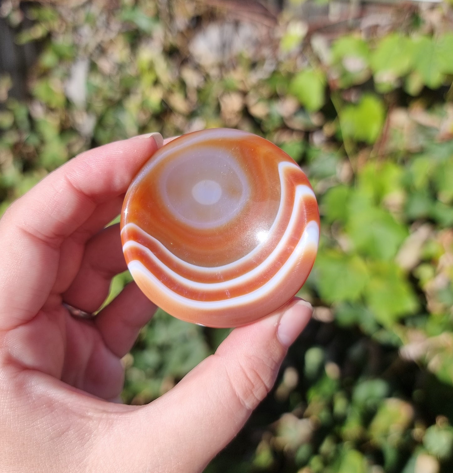 Sardonyx Ring Bowls