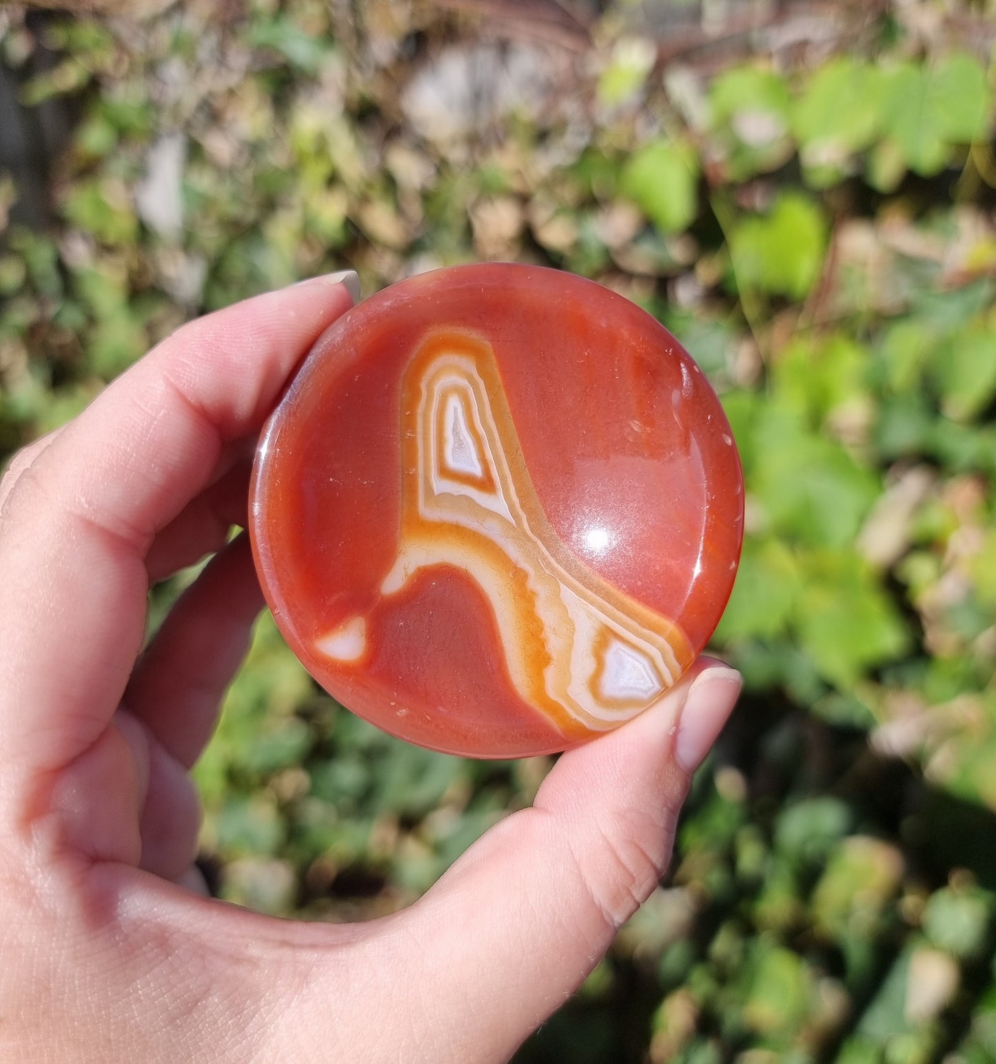 Sardonyx Ring Bowls