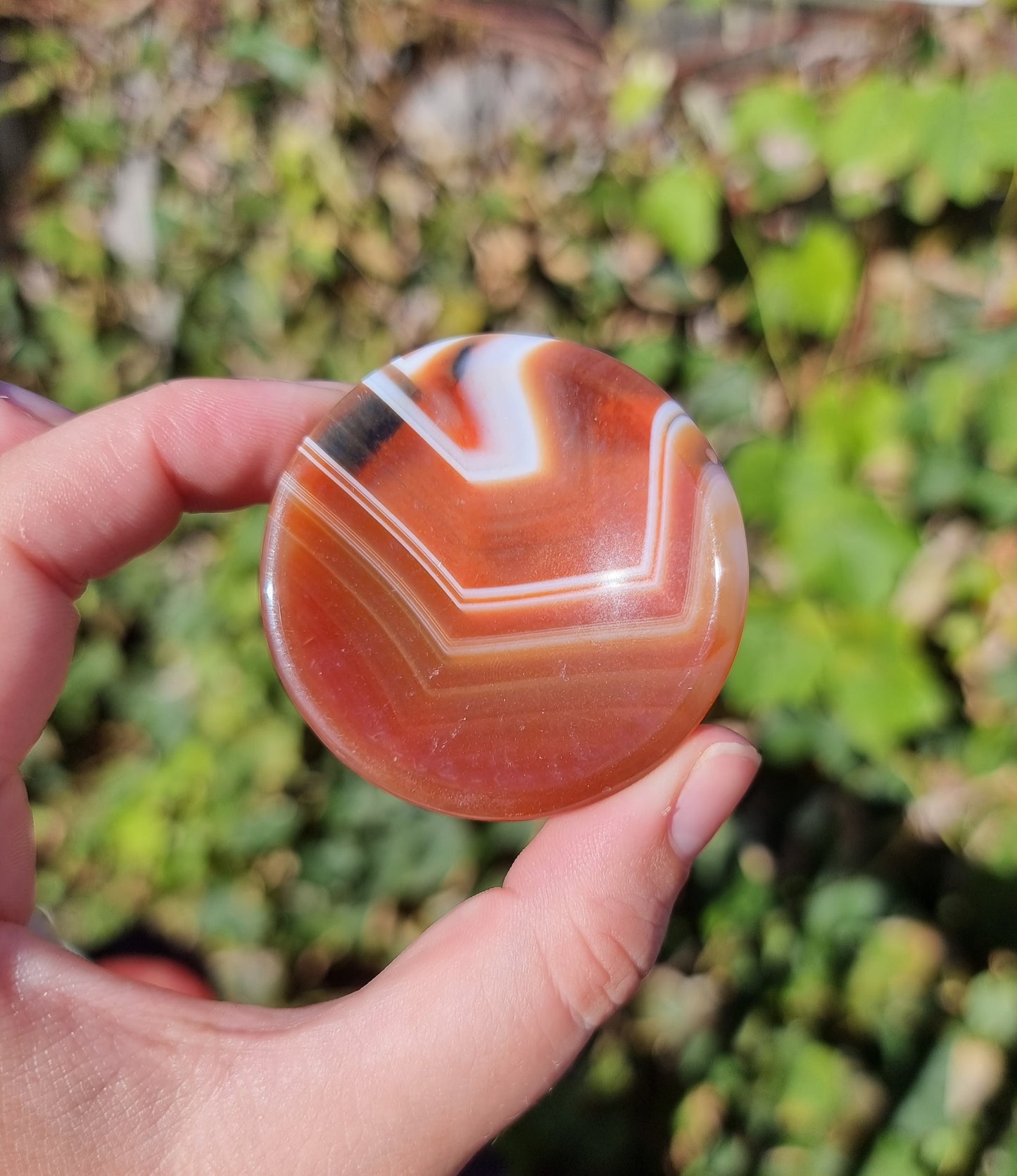 Sardonyx Ring Bowls