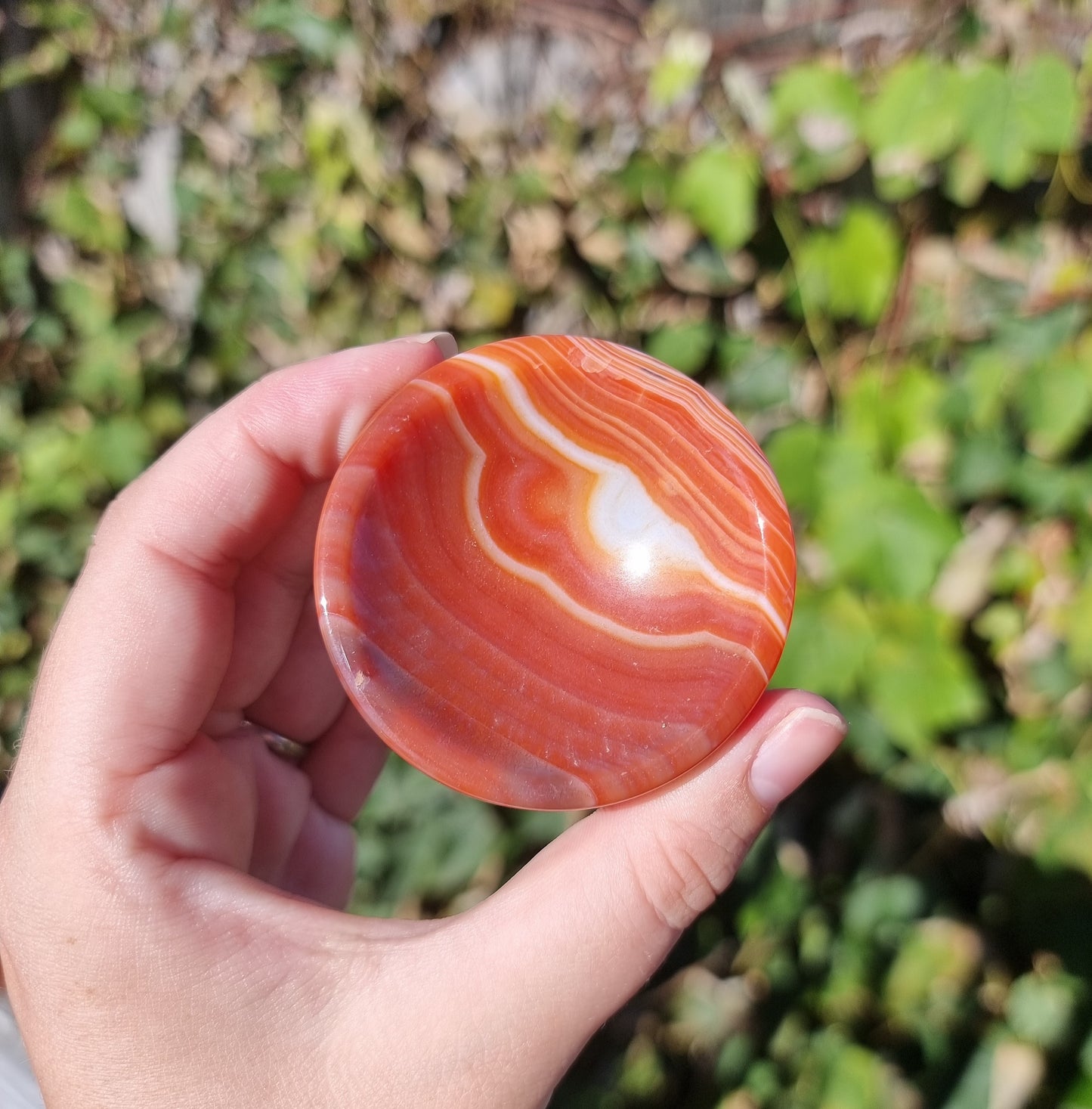 Sardonyx Ring Bowls