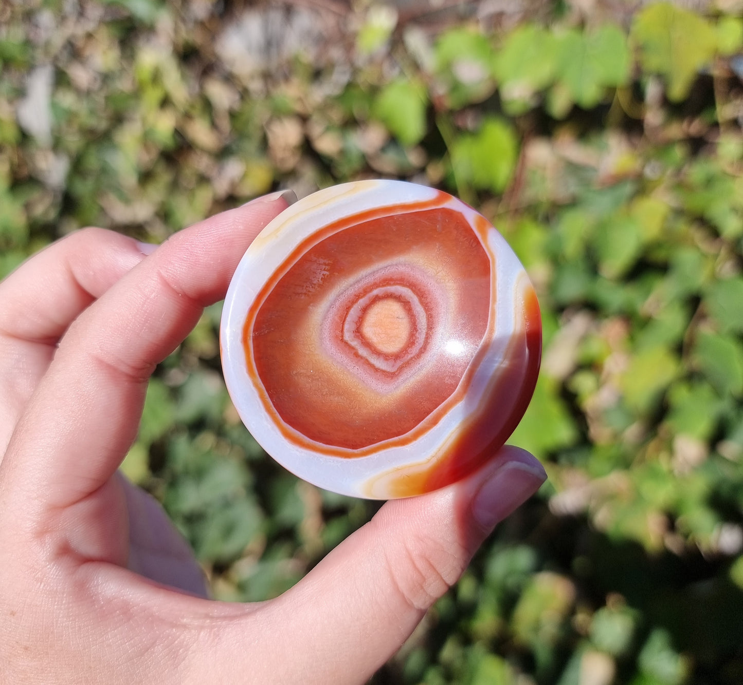 Sardonyx Ring Bowls