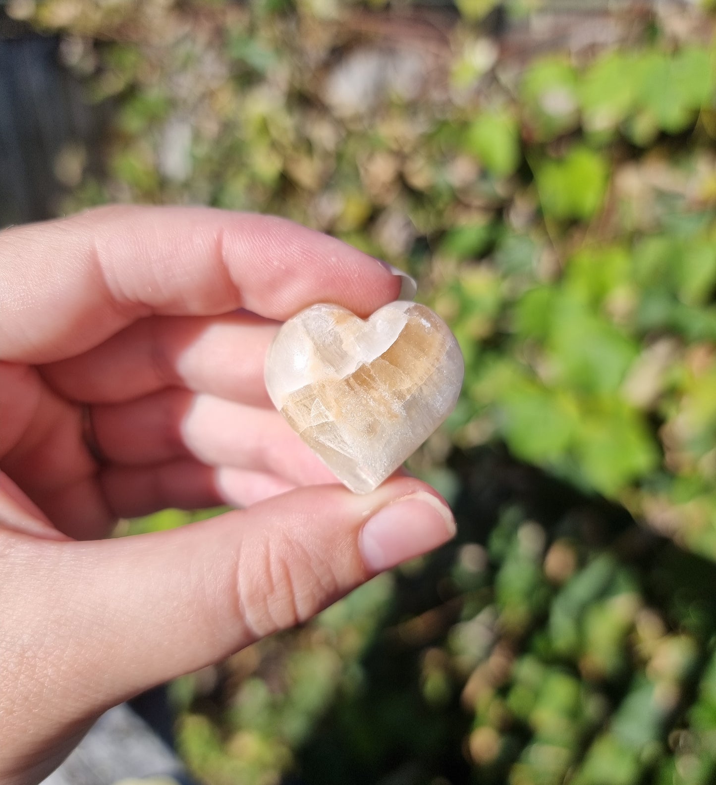 Brown Aragonite Heart