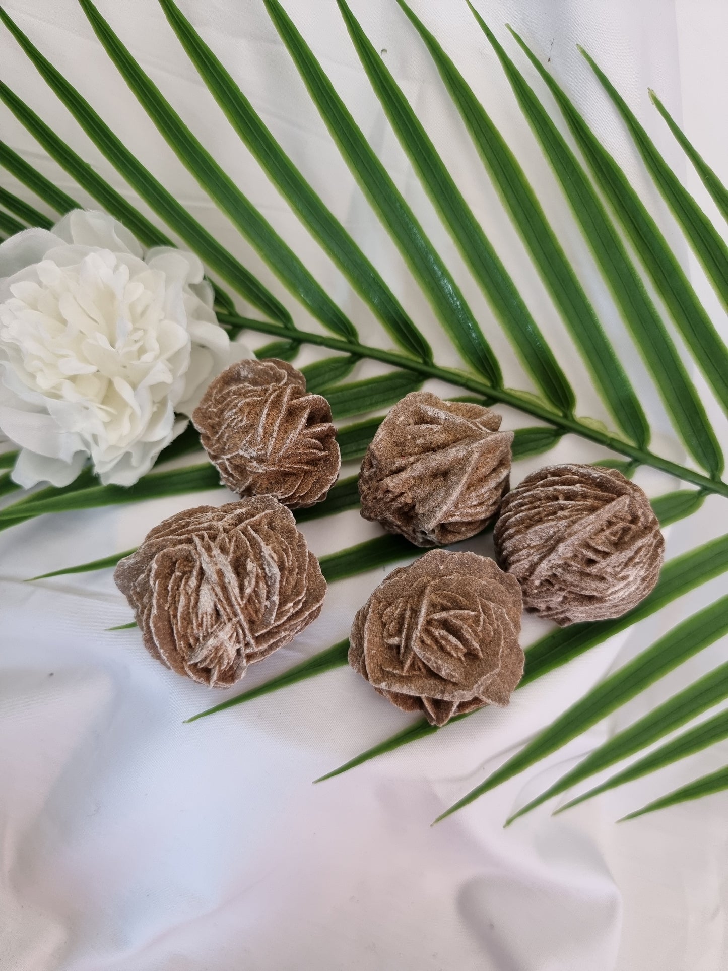 Desert Rose Cluster